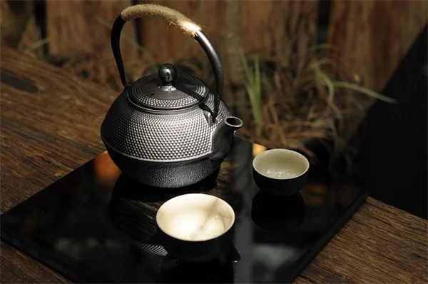 琴葉榕の6月育て方！5つのお手入れで夏も元気に