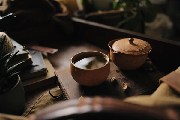 フィロデンドロン 失敗しない育て方 | 50年目の私が語る初心者向け完全ガイド